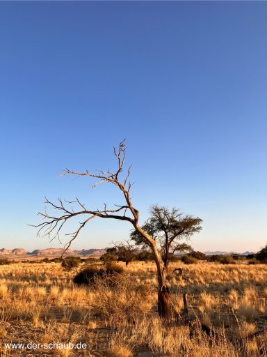 Namibia XVIII