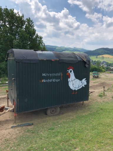 Kikeriki! Ri-, Ra-, Runkel...