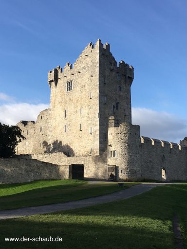 Irland V