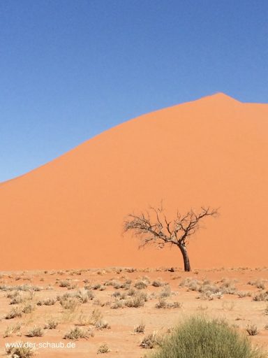 Namibia XII