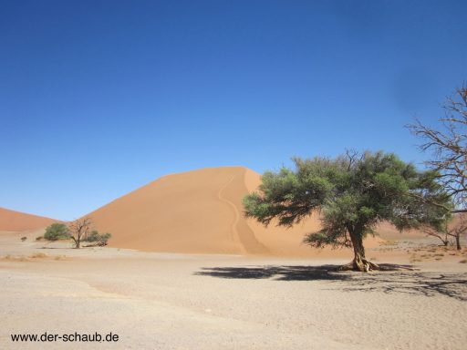 Namibia XIII