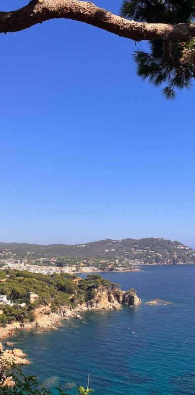 El Port de la Selva (E)